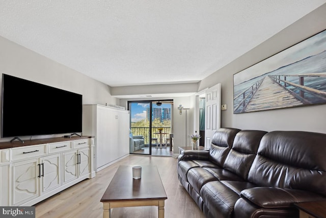 5904 Mount Eagle Dr Unit 1003, Alexandria, VA 22303 - living area featuring light wood-style flooring and a textured ceiling