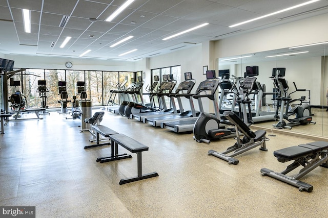 5904 Mount Eagle Dr Unit 1003, Alexandria, VA 22303 - exercise room featuring a drop ceiling