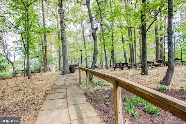 5904 Mount Eagle Dr Unit 1003, Alexandria, VA 22303 - view of yard