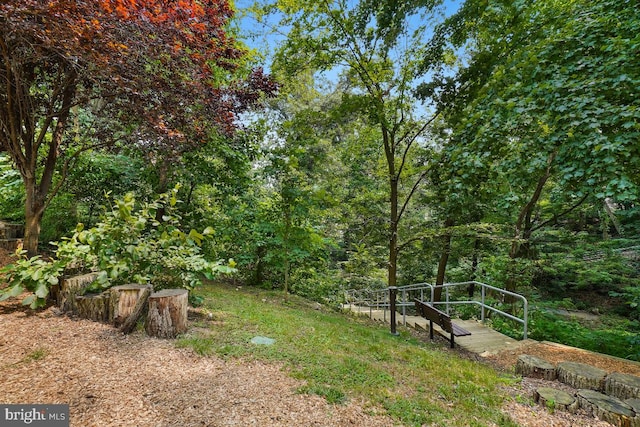 5904 Mount Eagle Dr Unit 1003, Alexandria, VA 22303 - view of yard