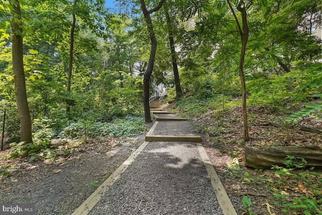 5904 Mount Eagle Dr Unit 1003, Alexandria, VA 22303 - view of yard
