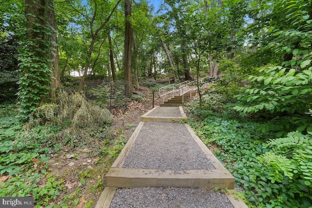 5904 Mount Eagle Dr Unit 1003, Alexandria, VA 22303 - view of yard