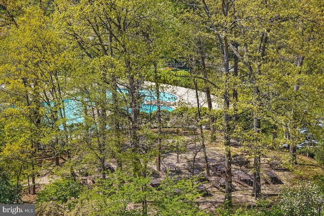 5904 Mount Eagle Dr Unit 1003, Alexandria, VA 22303 - view of local wilderness
