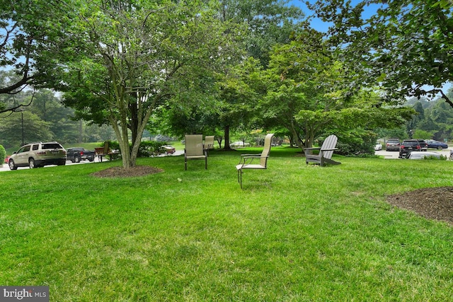 5904 Mount Eagle Dr Unit 1003, Alexandria, VA 22303 - view of green lawn