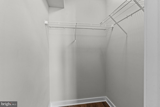 spacious closet with dark wood-style floors