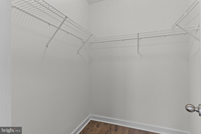 walk in closet featuring dark wood-style flooring