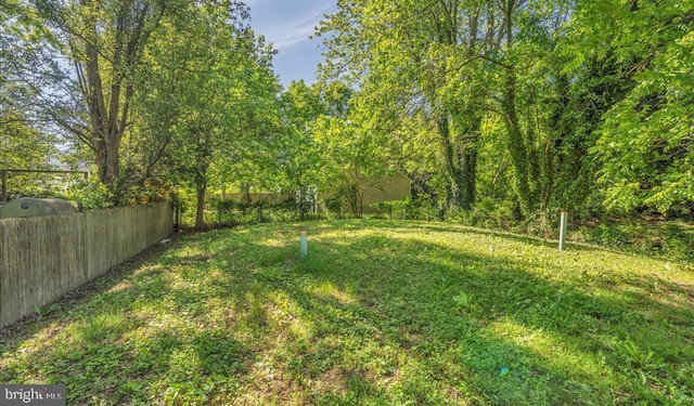 212 Broad St, Elmer, NJ 08318 - view of yard