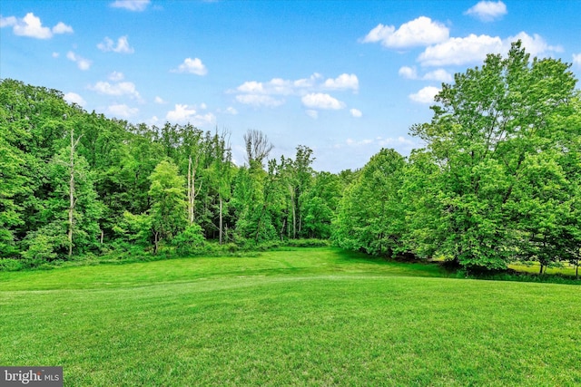 9830 Forge Valley Ct, Perry Hall, MD 21128 - view of green lawn