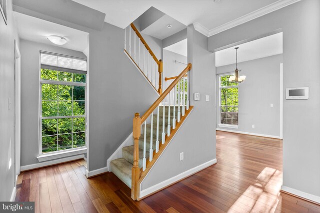 20580 Willoughby Sq, Sterling, VA 20165 - stairs with hardwood / wood-style floors, baseboards, ornamental molding, and a chandelier