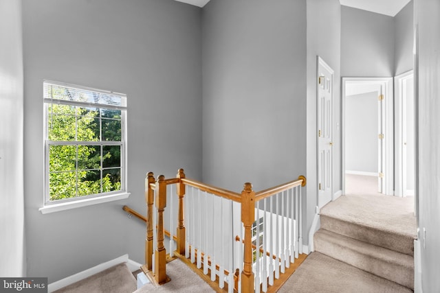 20580 Willoughby Sq, Sterling, VA 20165 - stairway featuring carpet and baseboards