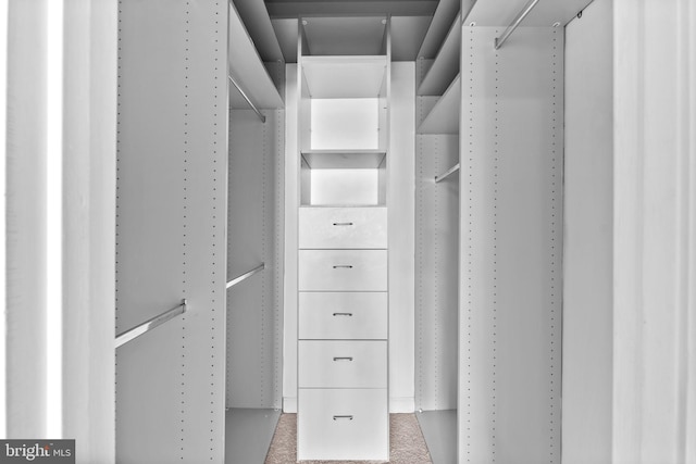 20580 Willoughby Sq, Sterling, VA 20165 - spacious closet featuring carpet