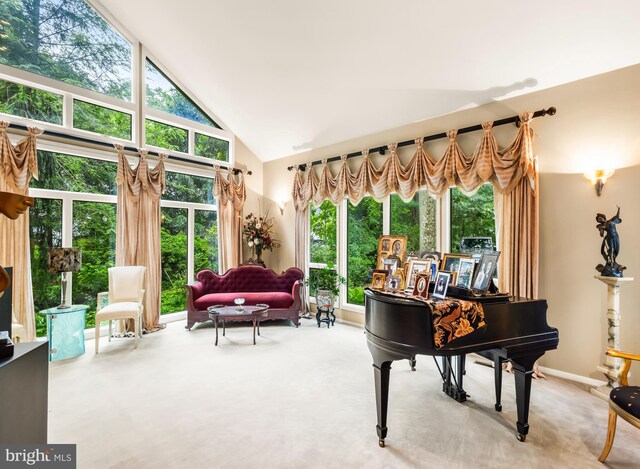 184 Pitman Downer Rd, Sewell, NJ 08080 - living area featuring high vaulted ceiling and carpet