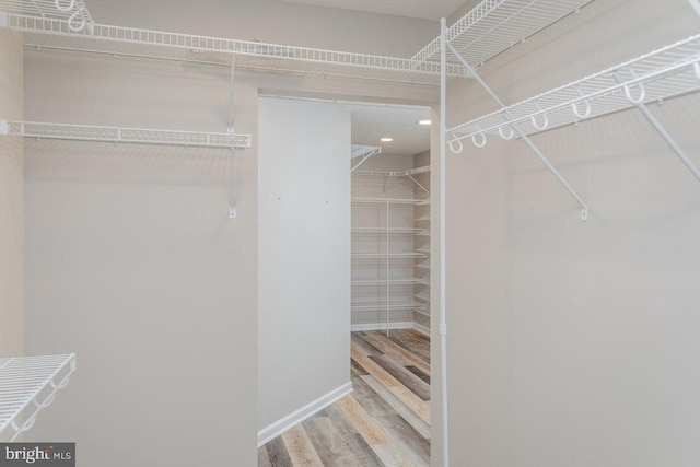 6081 Dotts Ln, Penn Laird, VA 22846 - spacious closet with wood finished floors