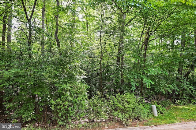 2249 Gunsmith Sq, Reston, VA 20191 - view of wooded area