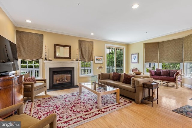 1015 Riverview Ln, Conshohocken, PA 19428 - living area with ornamental molding, wood-type flooring, a fireplace with flush hearth, and recessed lighting
