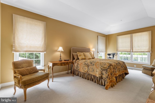 1015 Riverview Ln, Conshohocken, PA 19428 - carpeted bedroom with baseboards