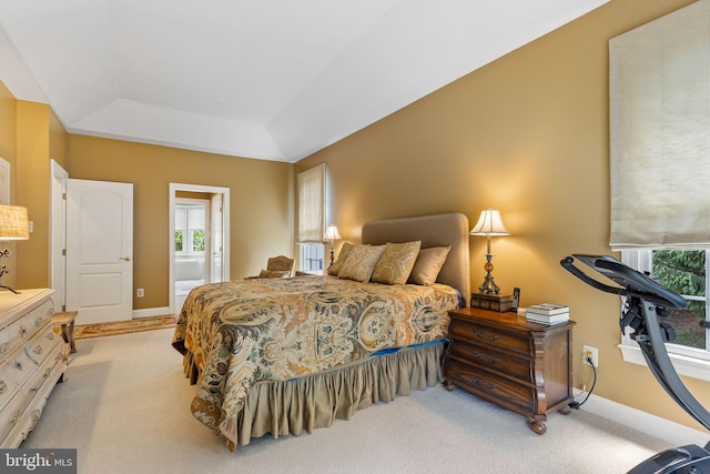 1015 Riverview Ln, Conshohocken, PA 19428 - bedroom featuring a tray ceiling, carpet, and multiple windows