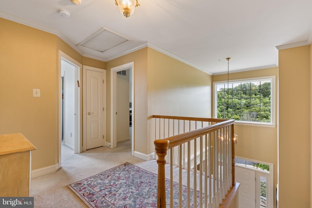 1015 Riverview Ln, Conshohocken, PA 19428 - hallway featuring an upstairs landing, carpet floors, ornamental molding, baseboards, and attic access