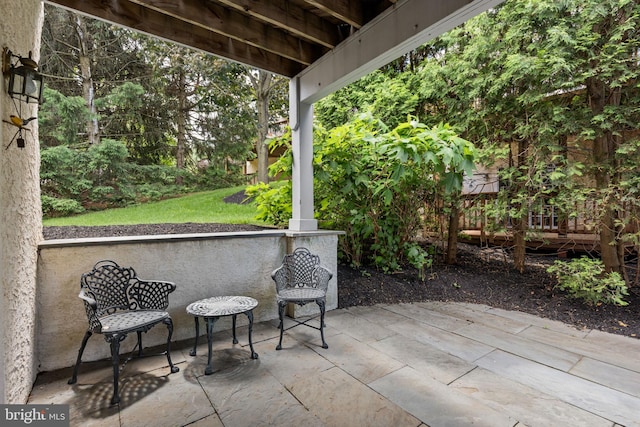 1015 Riverview Ln, Conshohocken, PA 19428 - view of patio / terrace