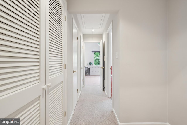 3538 Yuma St NW, Washington, DC 20008 - hallway featuring attic access, carpet floors, and baseboards