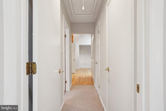 3538 Yuma St NW, Washington, DC 20008 - hallway with baseboards, light colored carpet, and attic access