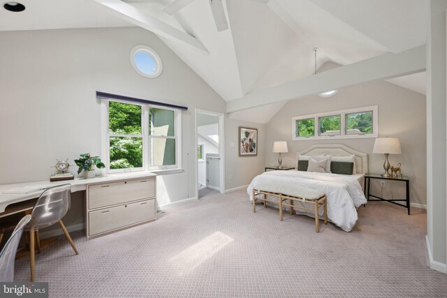 3538 Yuma St NW, Washington, DC 20008 - bedroom with light carpet, lofted ceiling, and baseboards