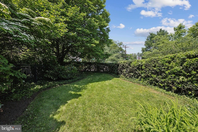3538 Yuma St NW, Washington, DC 20008 - view of yard