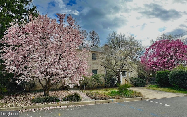 3538 Yuma St NW, Washington, DC 20008 - view of property hidden behind natural elements