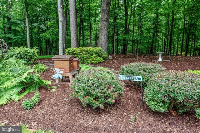 6323 Colchester Rd, Fairfax Station, VA 22039 - view of yard