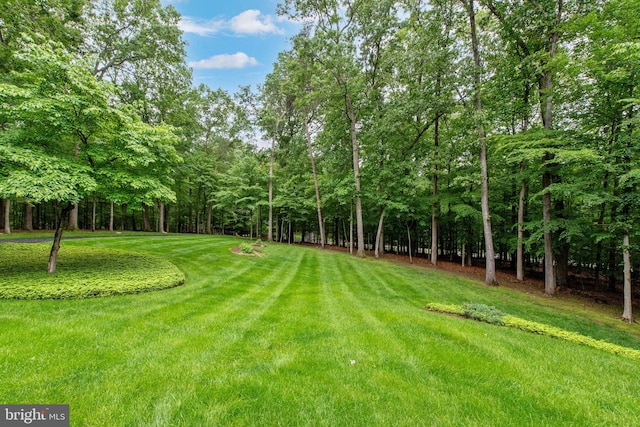 6323 Colchester Rd, Fairfax Station, VA 22039 - view of green lawn