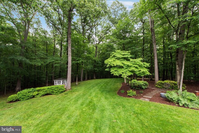 6323 Colchester Rd, Fairfax Station, VA 22039 - view of green lawn