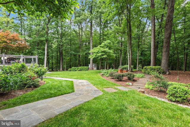 6323 Colchester Rd, Fairfax Station, VA 22039 - view of green lawn