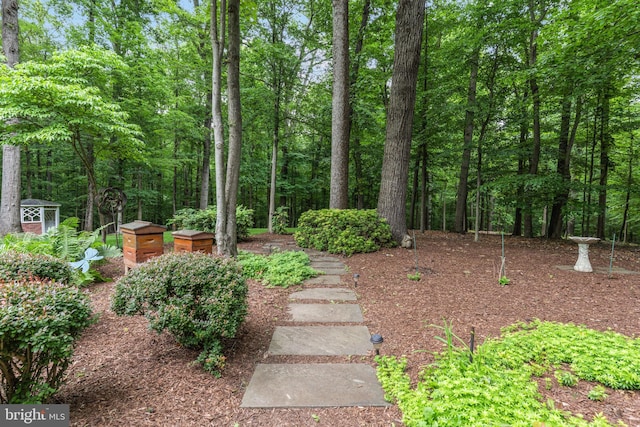 6323 Colchester Rd, Fairfax Station, VA 22039 - view of yard