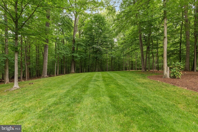 6323 Colchester Rd, Fairfax Station, VA 22039 - view of grassy yard with a view of trees
