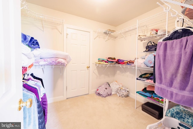 5110 Maple Leaf Ct, Mechanicsburg, PA 17055 - walk in closet featuring carpet flooring