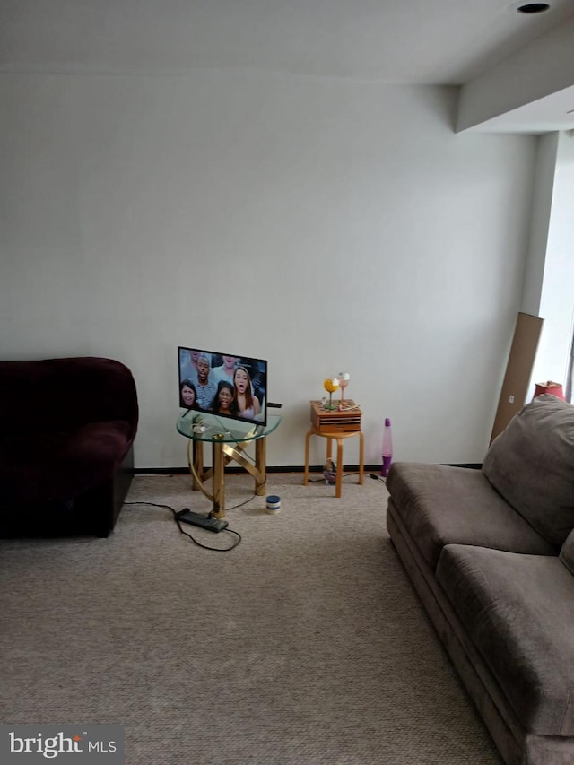 9900 Georgia Ave Unit 27-709, Silver Spring, MD 20902 - living area featuring carpet flooring