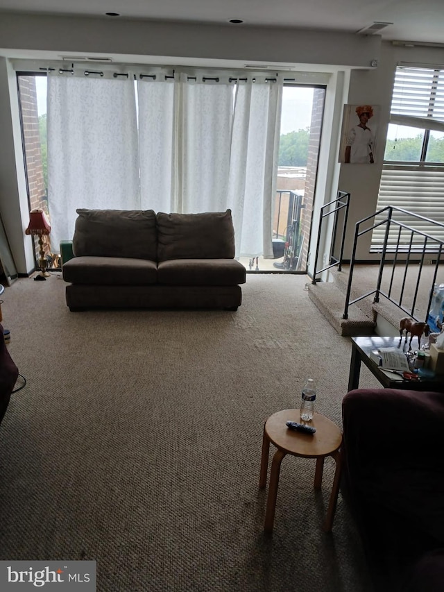 9900 Georgia Ave Unit 27-709, Silver Spring, MD 20902 - living area with carpet
