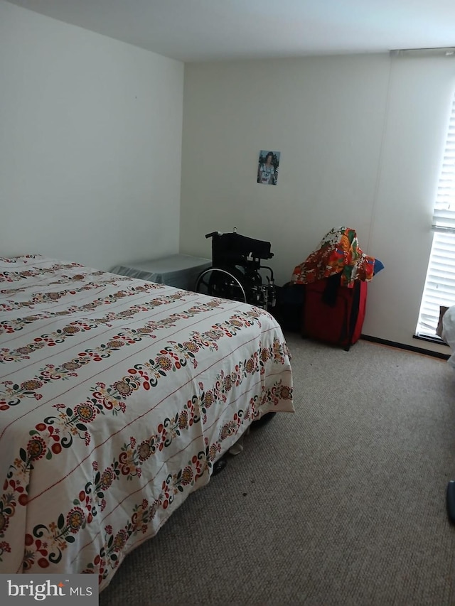 9900 Georgia Ave Unit 27-709, Silver Spring, MD 20902 - bedroom with light carpet