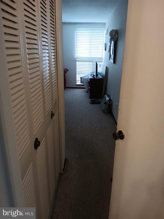 9900 Georgia Ave Unit 27-709, Silver Spring, MD 20902 - hall featuring carpet flooring