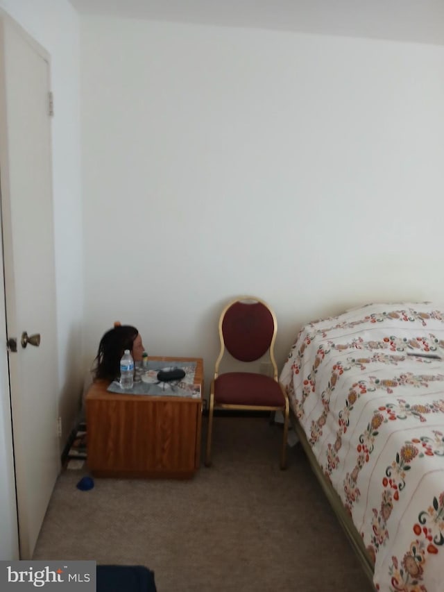 9900 Georgia Ave Unit 27-709, Silver Spring, MD 20902 - view of carpeted bedroom