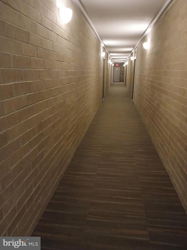9900 Georgia Ave Unit 27-709, Silver Spring, MD 20902 - view of hallway