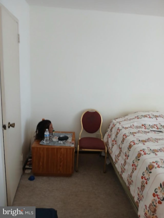 9900 Georgia Ave Unit 27-709, Silver Spring, MD 20902 - bedroom featuring carpet flooring