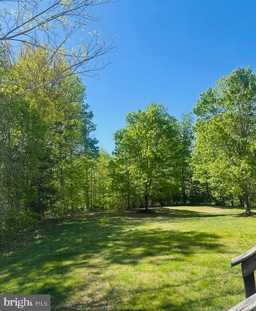 8456 Summer Breeze Pl, Manassas, VA 20112 - view of grassy yard