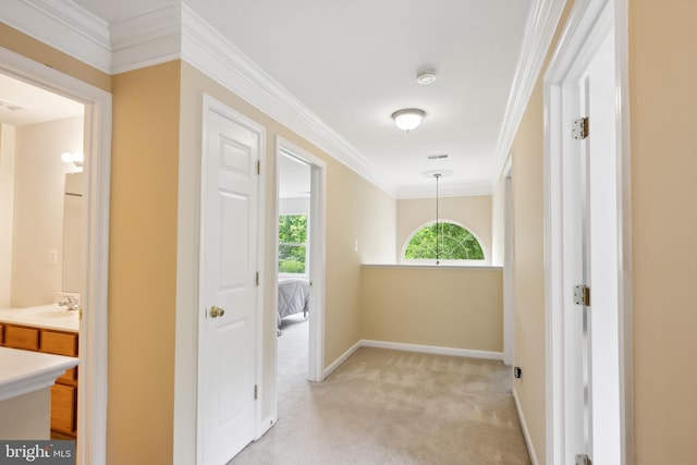 8456 Summer Breeze Pl, Manassas, VA 20112 - corridor with light colored carpet, ornamental molding, a sink, and baseboards