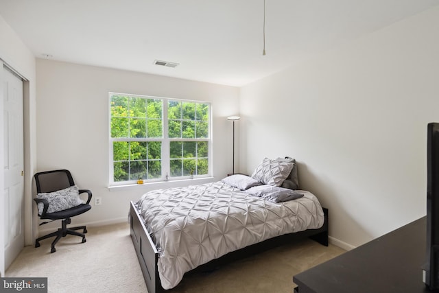 8456 Summer Breeze Pl, Manassas, VA 20112 - bedroom featuring carpet and baseboards