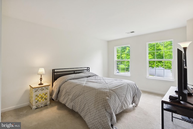 8456 Summer Breeze Pl, Manassas, VA 20112 - bedroom featuring light colored carpet and baseboards