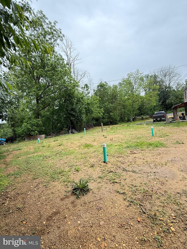 276 Woodstown Daretown Rd, Woodstown, NJ 08098 - view of yard