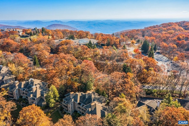 2028 Stone Rdg, Condos, Wintergreen Resort, VA 22967 - drone / aerial view of a mountain backdrop and a forest