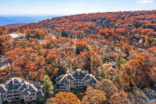 2028 Stone Rdg, Condos, Wintergreen Resort, VA 22967 - drone / aerial view of a heavily wooded area