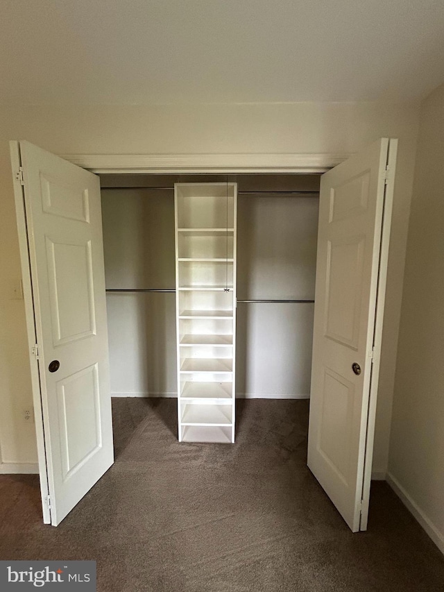 1821 Driver Ave, Lancaster, PA 17602 - view of closet